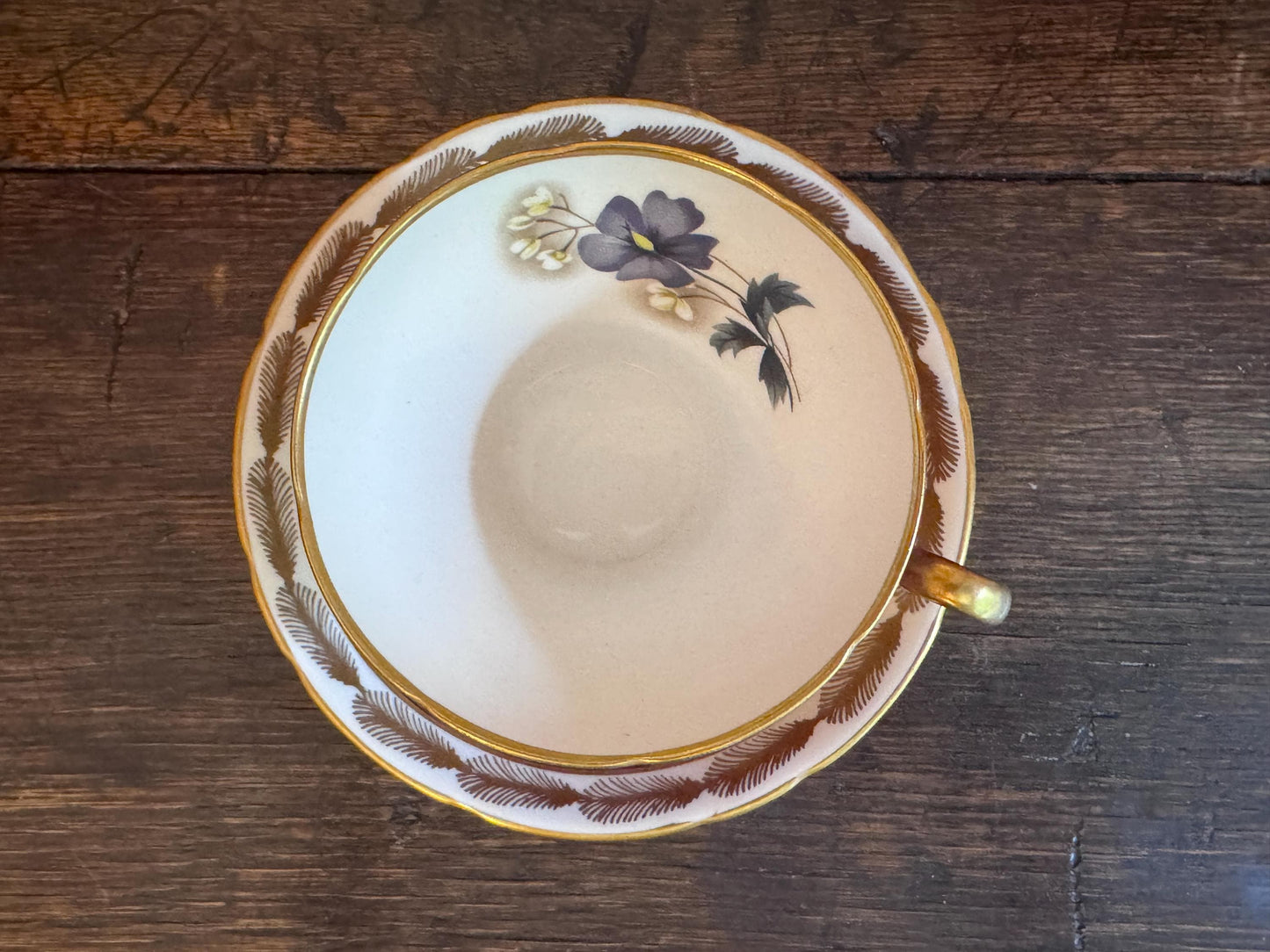 Royal Albert Burgundy Teacup & Saucer with Gold Feather Motif